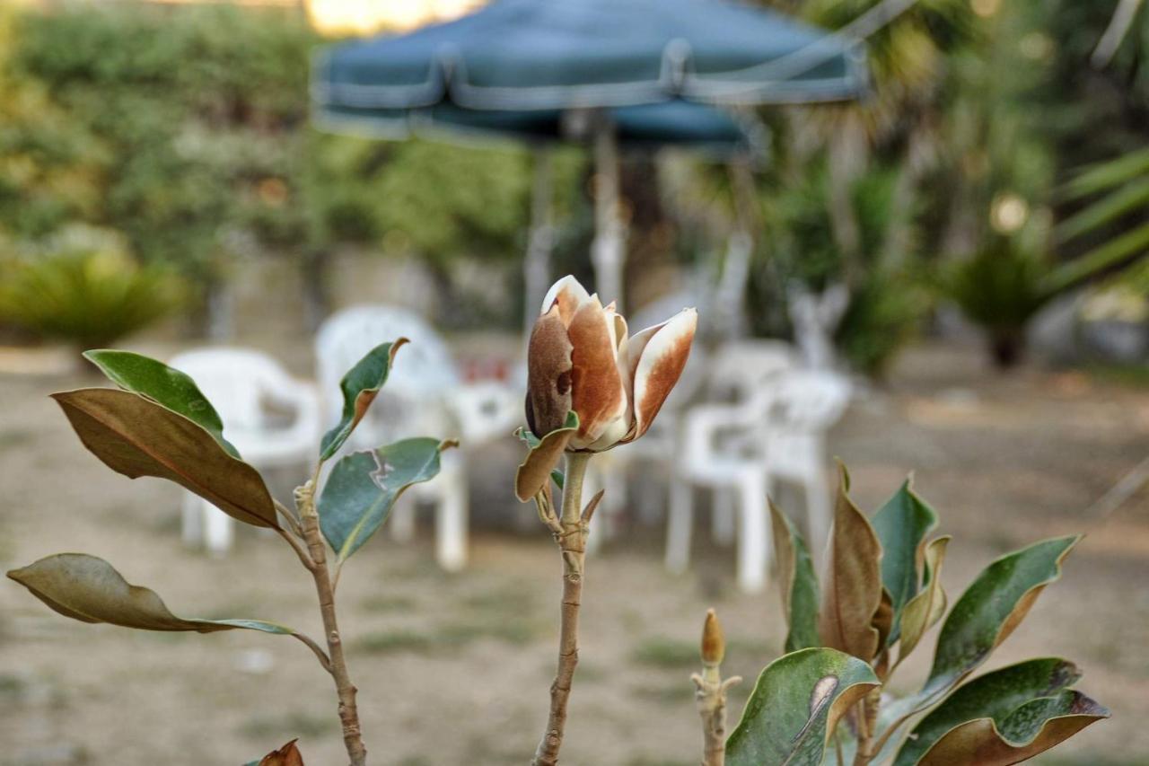 Kloudas Apartments Potamós Dış mekan fotoğraf